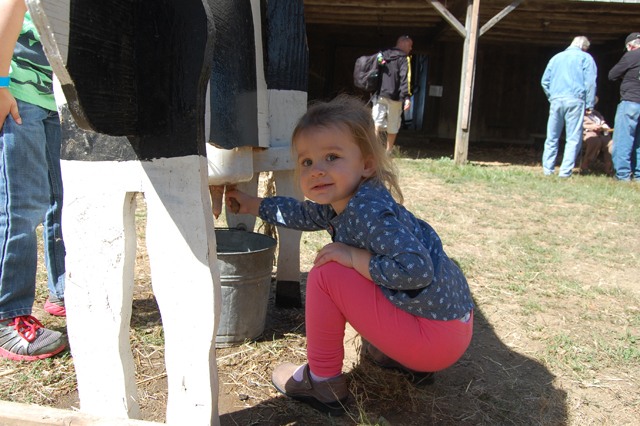 Carly Rutter, 2, of Sound Beach "milks" a wooden cow.