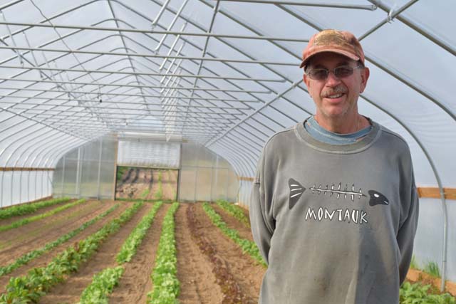 Gene Krupski of Mar-Gene Farms inside a high tunnel at the Mattituck farm. (Credit: Vera Chinese)