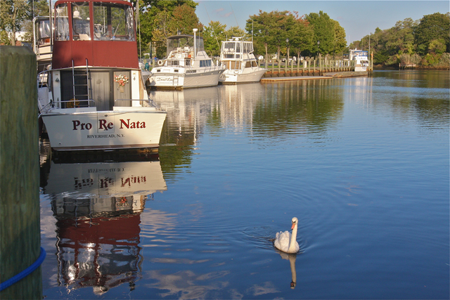 The tranquil Peconic Riverfront.