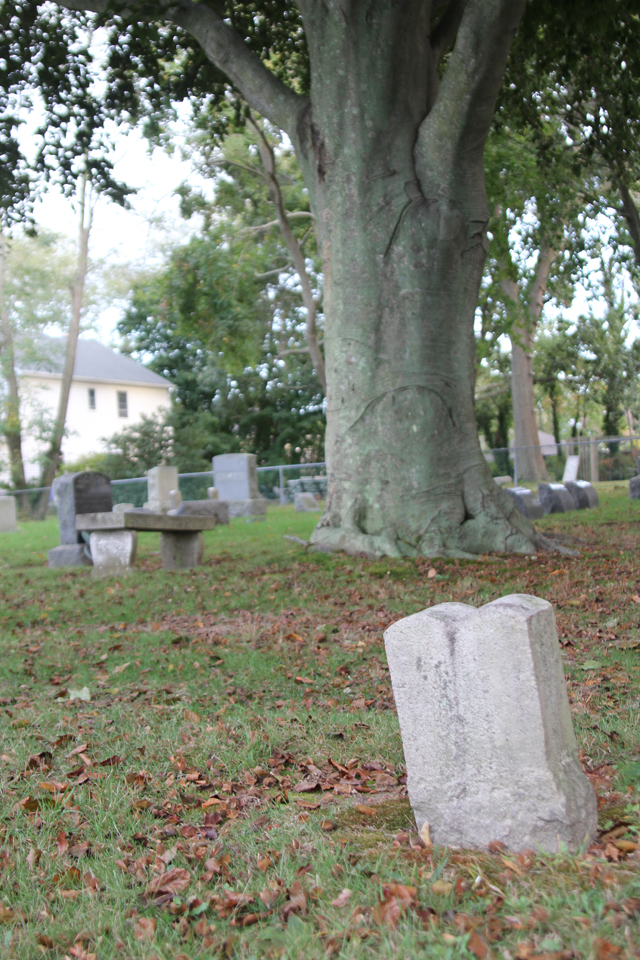 Mattituck_overview4