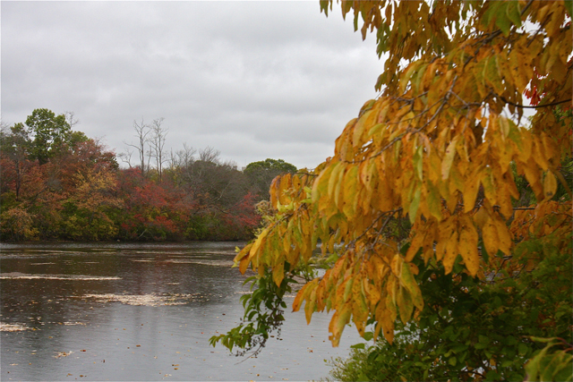 Riverhead