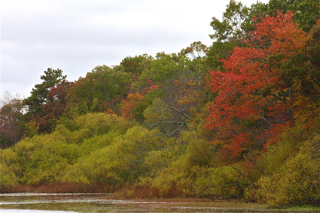 Riverhead