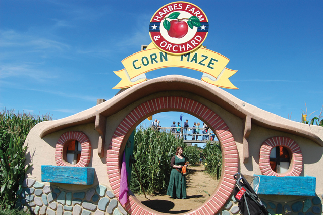Inside the corn maze at Harbes Farm & Orchard.