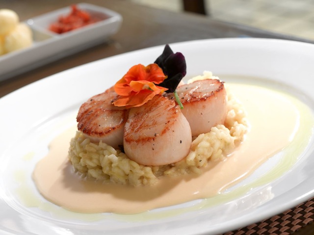 Bistro72 East Scallops