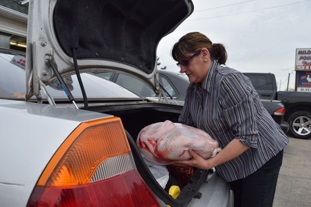 Karen Ulip of Shirley loads a 27 pound turkey into her car Tuesday morning. (Credit: Vera Chinese)