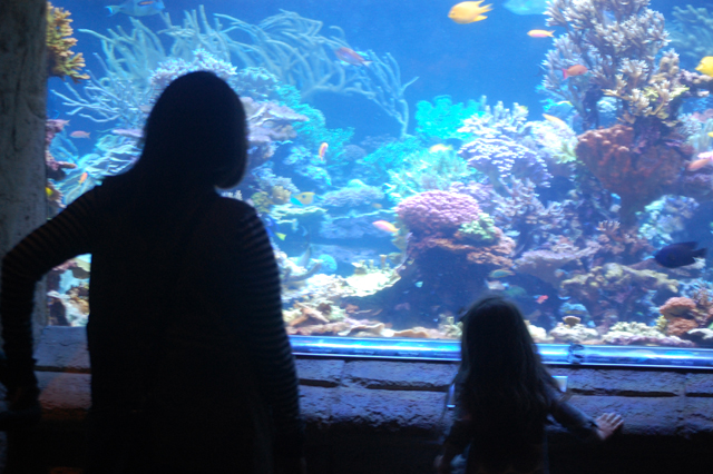 Long Island Aquarium