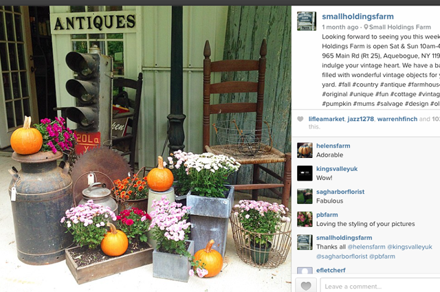 Credit: @SmallHoldingsFarm Instagram