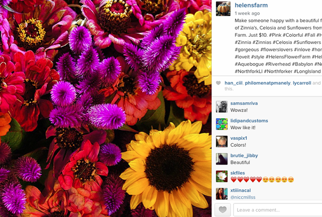 Credit: @HelensFarm Instagram