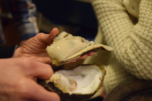 That's an oyster, if you can't  tell.