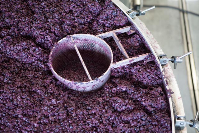 Inside Premium Wine Group in Mattituck. (Credit: Katharine Schroeder)