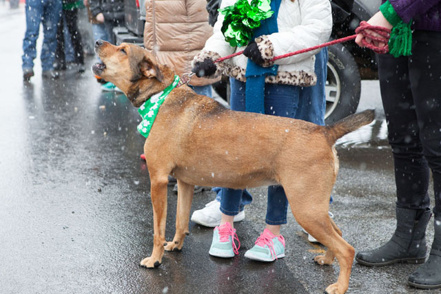 Jamesport_parade_ss_17