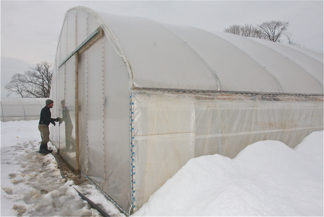Even with the ground covered in snow and temperatures below freezing the greenhouse temperature will be in the sixties.