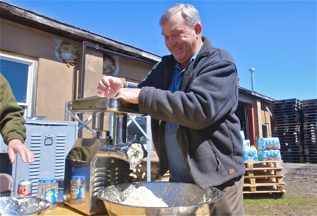 George McDowell of Mattituck takes his turn grinding the horseradish roots grimacing as it stings his eyes. (Credit: Barbaraellen Koch photos)