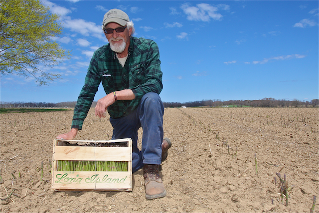 Lyle Wells asparagus