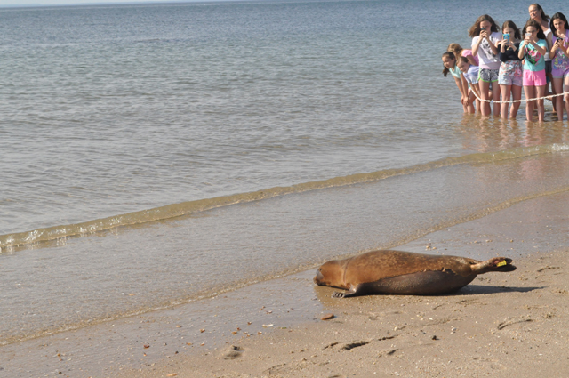 The next stop for Tucker: water! (Credit: Nicole Smith)