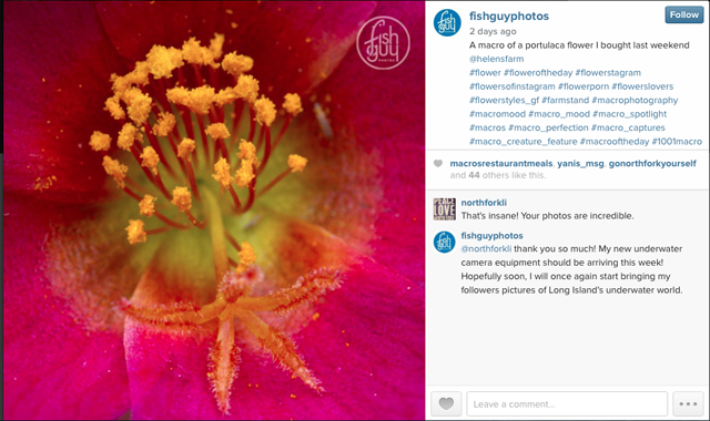 Screen Shot 2015-06-08 at 2.44.26 PM