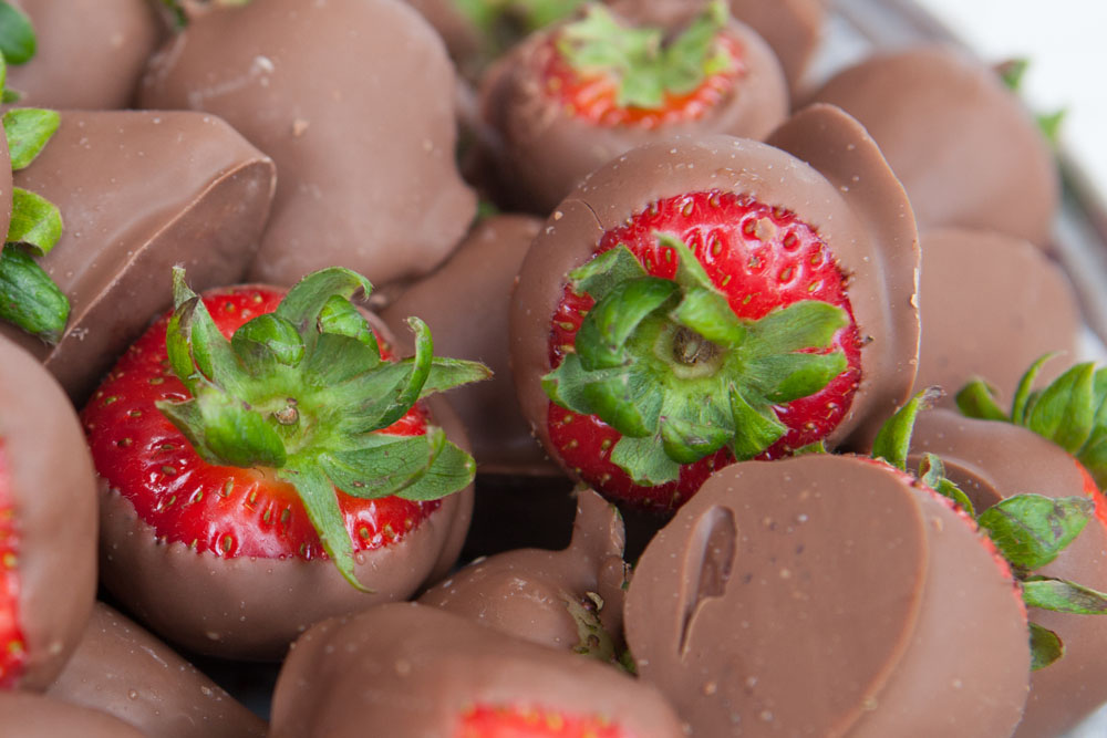 (Credit: Katharine Schroeder)