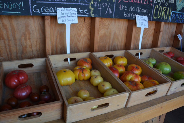 Long Season Farms sells several varieties of Heirloom Tomatoes (Credit: Monique Singh-Roy)