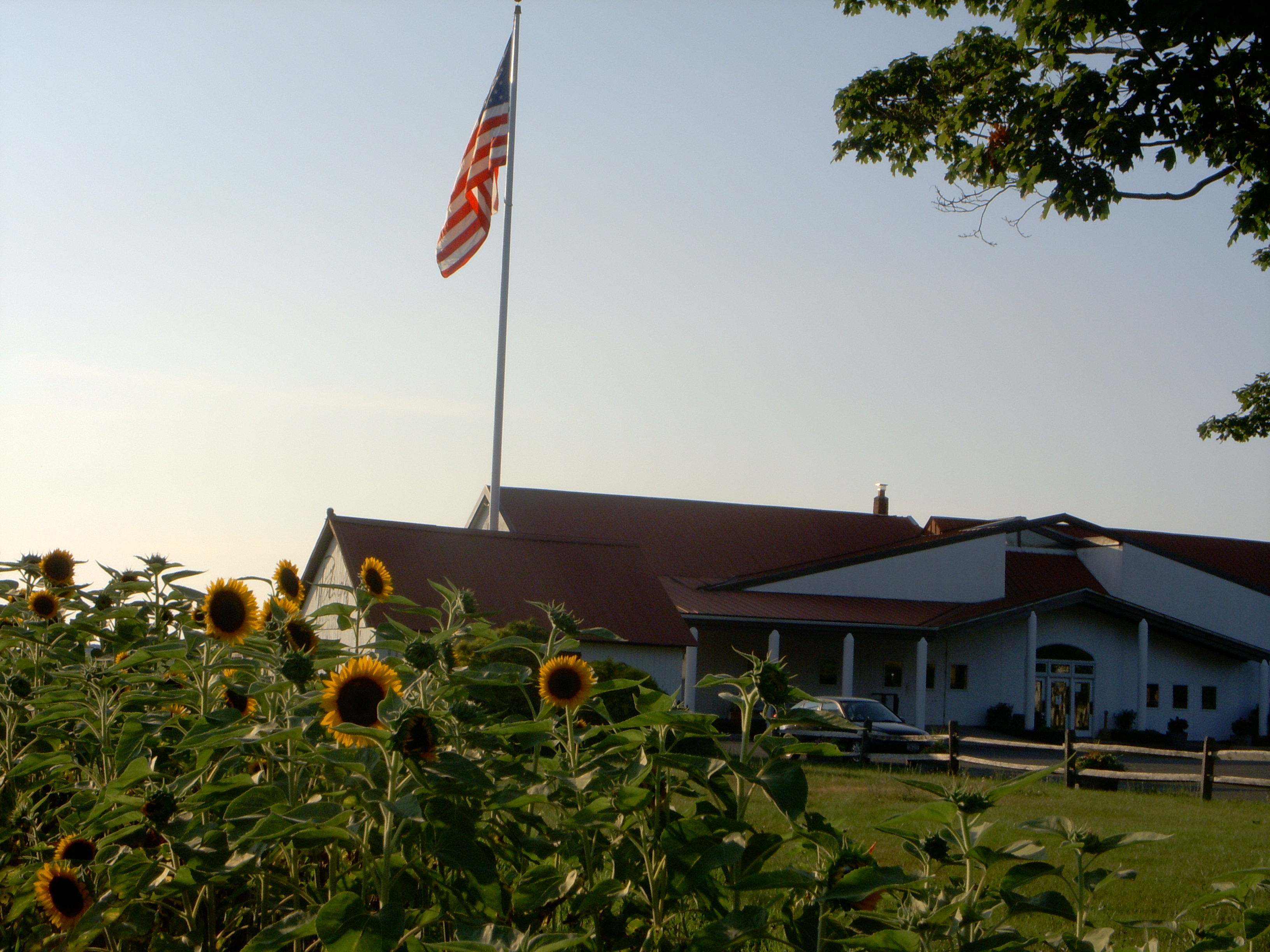 Pindar Vineyards in Peconic.