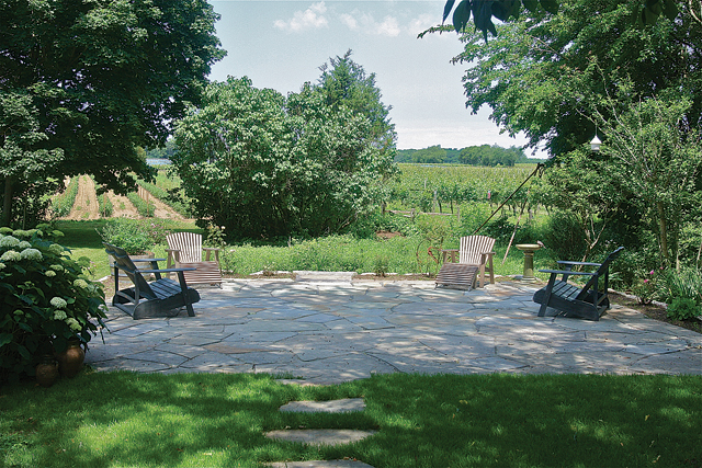 The new patio overlooking Bedell Cellars' vineyard and farm fields. (Credit: Barbaraellen Koch)