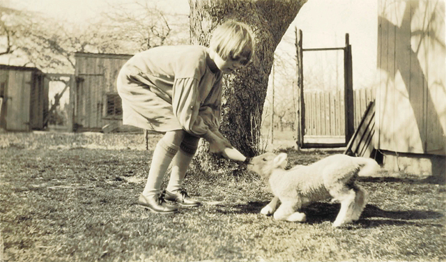 Lois Estelle Wells bottle-feeds a lamb in the homestead's backyard in April 1926. (Credit: Hallockville Museum Farm, courtesy)