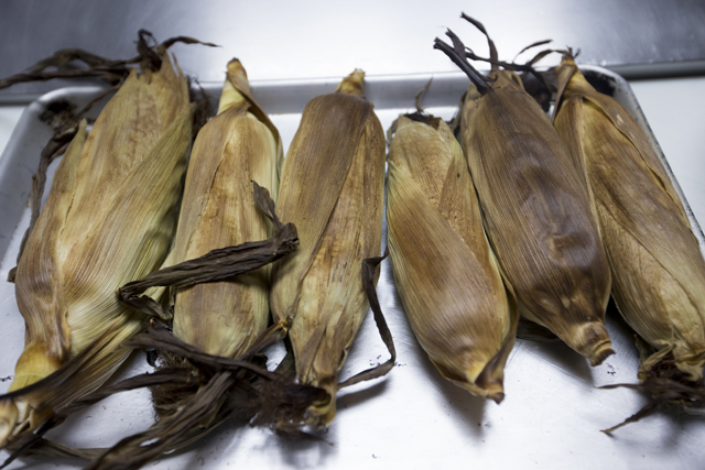 randeedaddona_Matt_Kar-6245