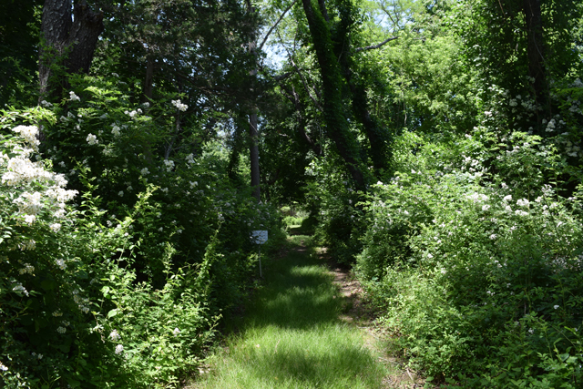 Downs Farm Preserve