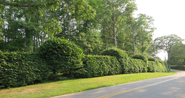 A scene from the author's bike tour.