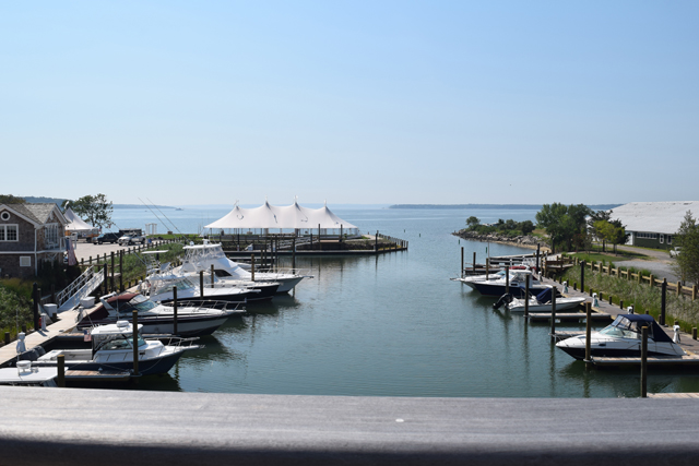 The view of the marina from the second floor deck.