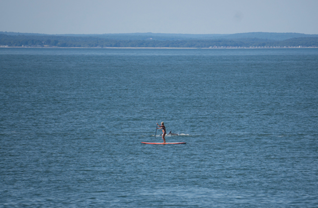 Debra Ianelli watches as a pair of dolphins swims past her near Orient Point. She later spotted a large group of dolphins from her home near Orient by the Sea. (Credit: Nick Pirro, courtesy)