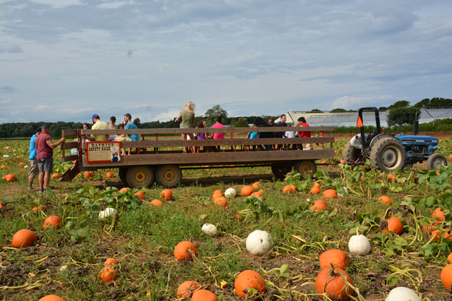 All aboard for the Hay Ride!