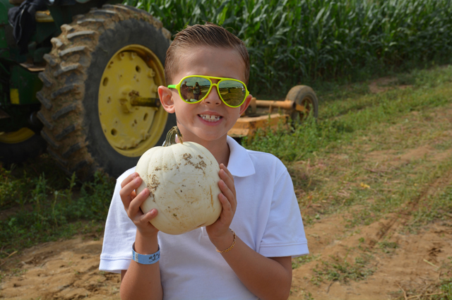 Nicholas Testani, 7, of Levittown shows off his pumpkin