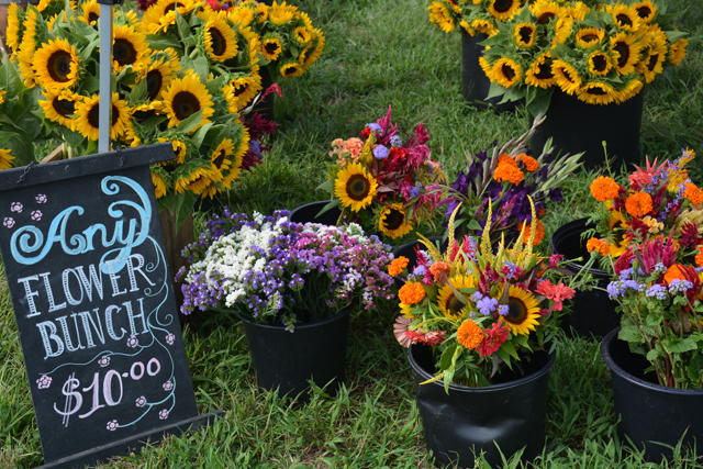 Local sunflowers for sale at the festival