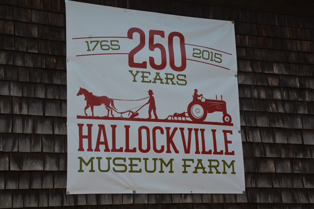Hallockville is celebrating their 250th year