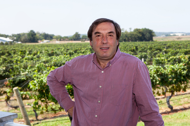 Martin out in the vineyard. (Credit: Katharine Schroeder)