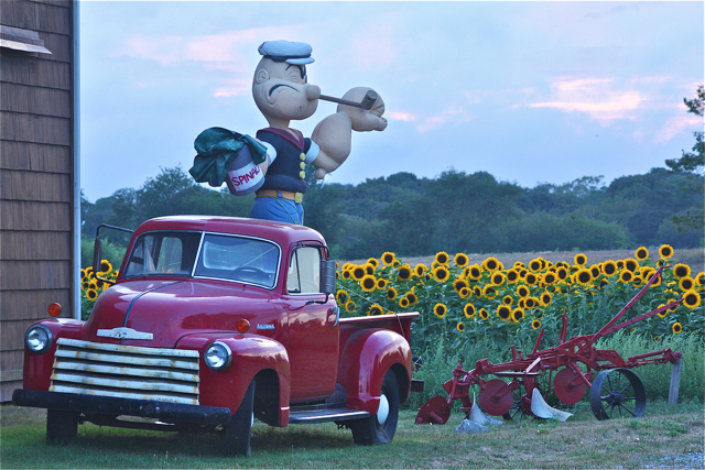 The large Popeye sculpture by Calverton artist Matt Troyan stands in a nearby vintage pickup.