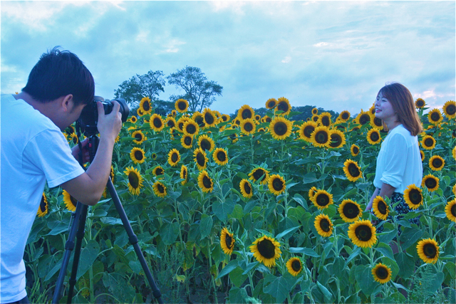 Tom Lin of Flushing, Queens composes a portrait of his girlfriend, Fang Chen, also Flushing, in the field next to Bayview Farms and Market in Aquebogue.