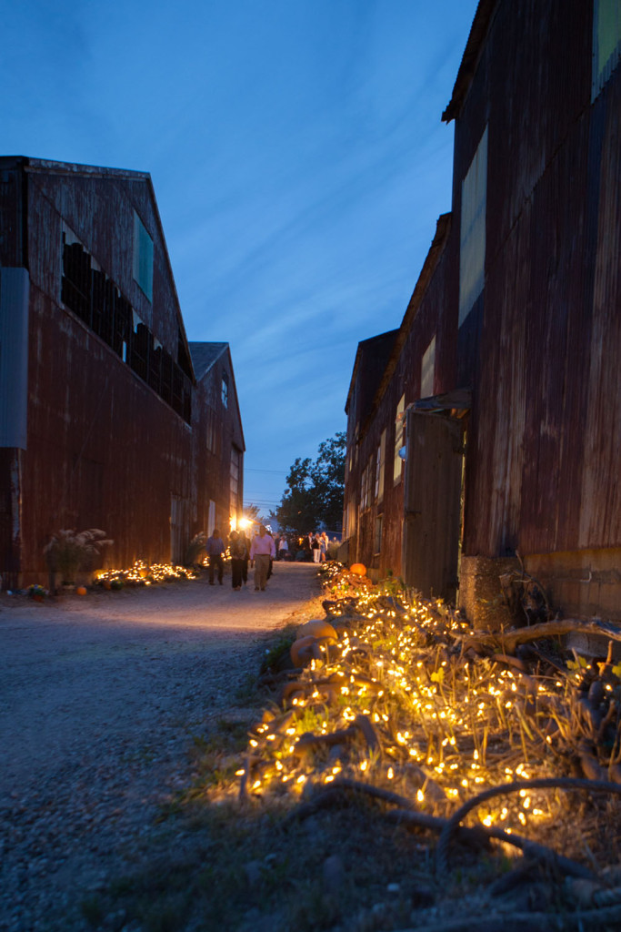 The entrance to the gala was lit with fairy lights and decorated with pumpkins and flowers.
