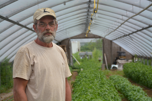 Ken Jurow of Long Season Farms. (Credit: Monique Singh-Roy)
