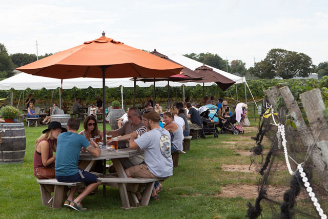 Enjoying a glass of wine alongside the vines.