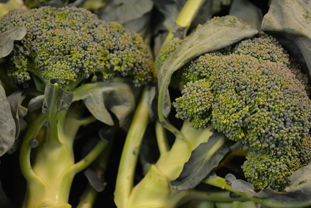 Superfood2_MS