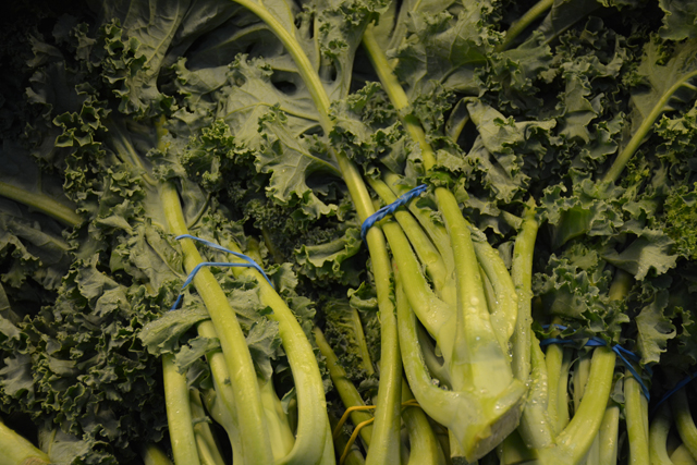 Superfood4_MS