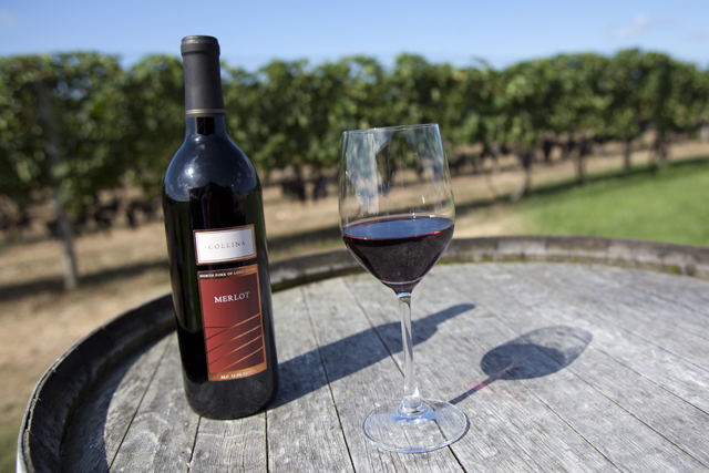 Macari's Collina Merlot. (Credit: Chris Lisinski)