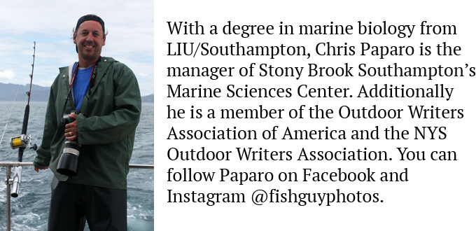 Chris Paparo