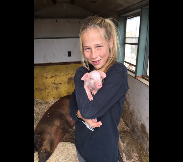 Goodale's daughter, Katie Goodale, 13, with a piglet (Credit: Hal Goodale)