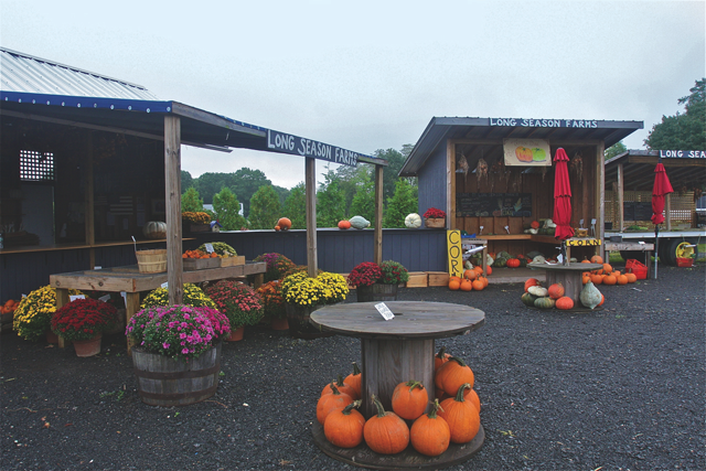 Long Season Farms is located at 1017 Main Road in Aquebogue (Credit: Barbaraellen Koch)
