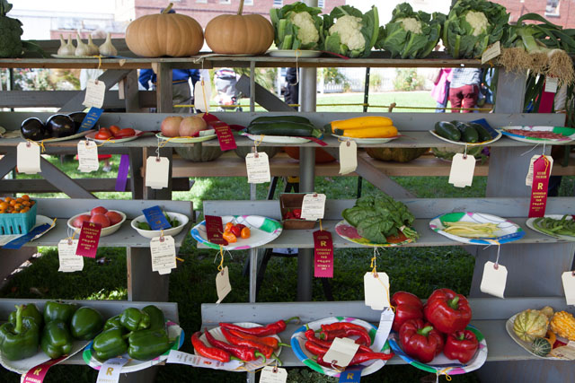 Vegetable competition contestants.