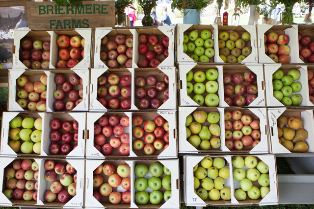 Seemingly endless varitey of apples.