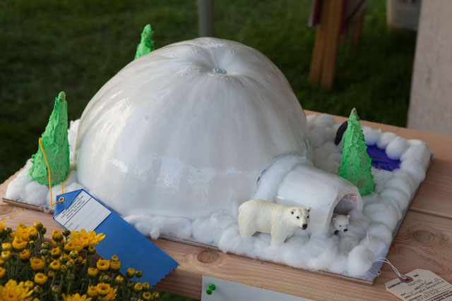 A prize-winning decorated pumpkin.