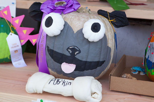 Best of Show pumpkin.